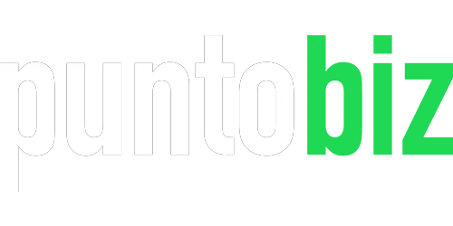 Punto Biz